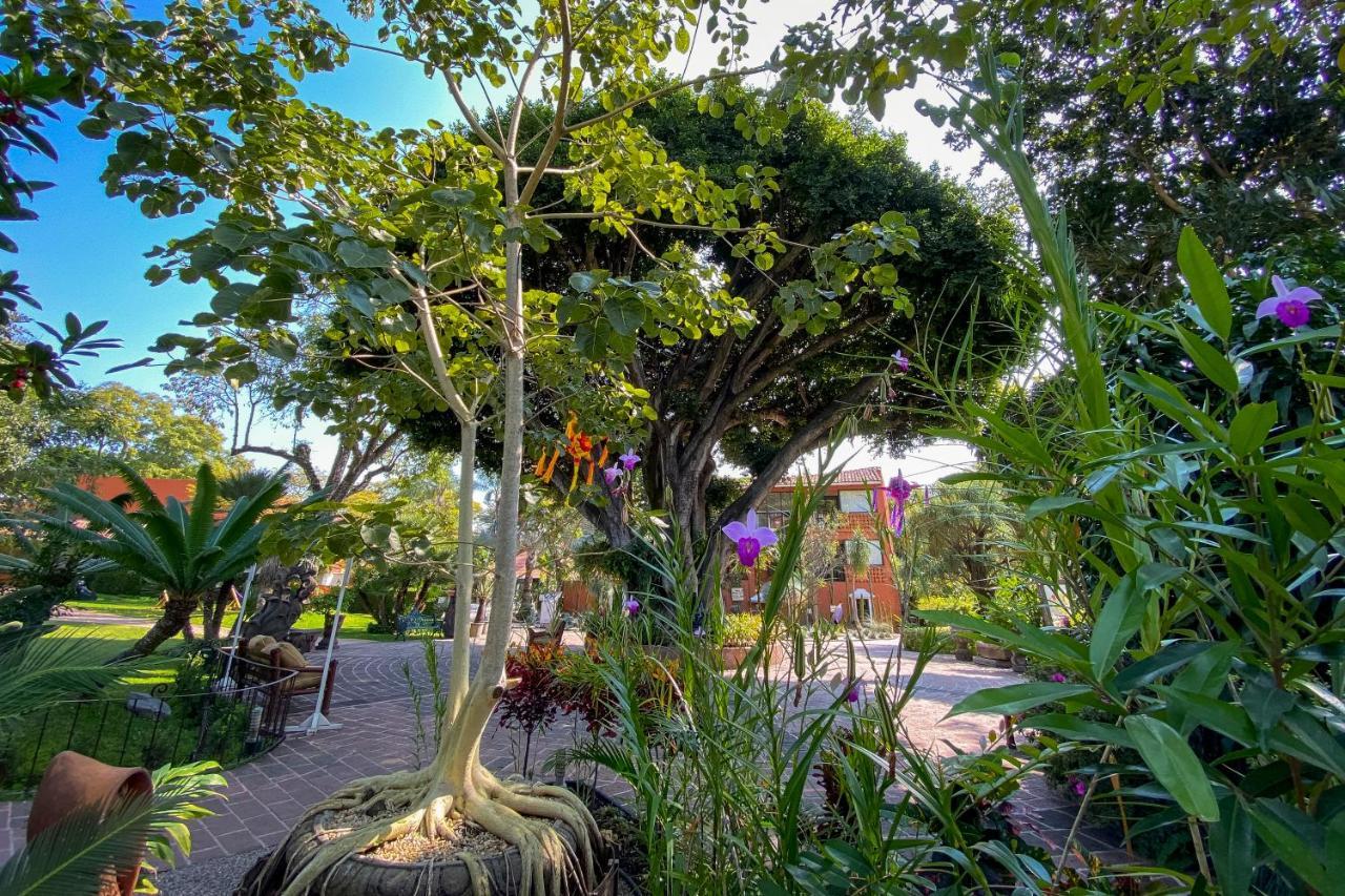 Hosteria Las Quintas Hotel Restaurante Bar Куернавака Екстер'єр фото The gardens at the University of Miami